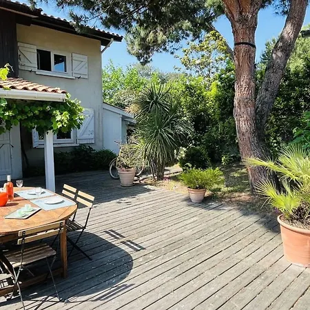 Mesanges Lège-Cap-Ferret